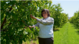 Moldova: Tatiana Pavliuc from Burlănești, Ocnita, who has cherry, plum and apple orchards that were affected by frosts in May