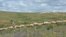 Armenia - Sheep graze in Urtsasar mountains, 22Jun2012.