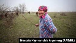 Женщина пасет скот недалеко от Феодосии, Крым, 8 марта 2016 года. Иллюстрационное фото