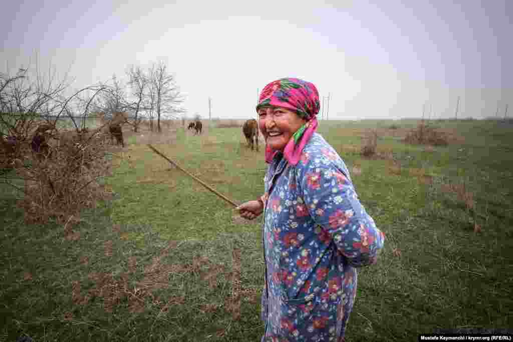 A Crimean Tatar woman grazes cattle near Fedosia, Crimea.