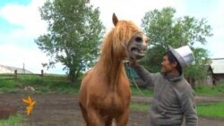 Байкөлдү байырлагандар (3)