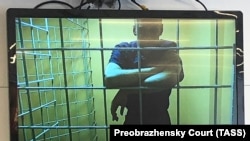 Russian opposition leader Aleksei Navalny Navalny participated in the hearing by videolink from prison. 