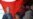 U.S. General Says Afghan Insurgency Growing
