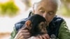 jane goodall