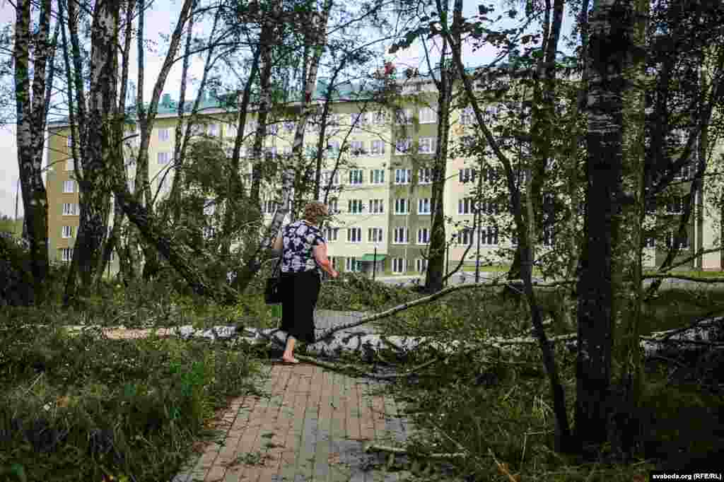 Шмат дзе ў вёсцы яшчэ засталіся непрыбраныя дрэвы