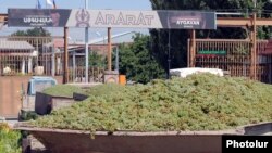 Armenia - Farmers deliver grapes to a brandy distillery in Ararat province, 9Sep2013.