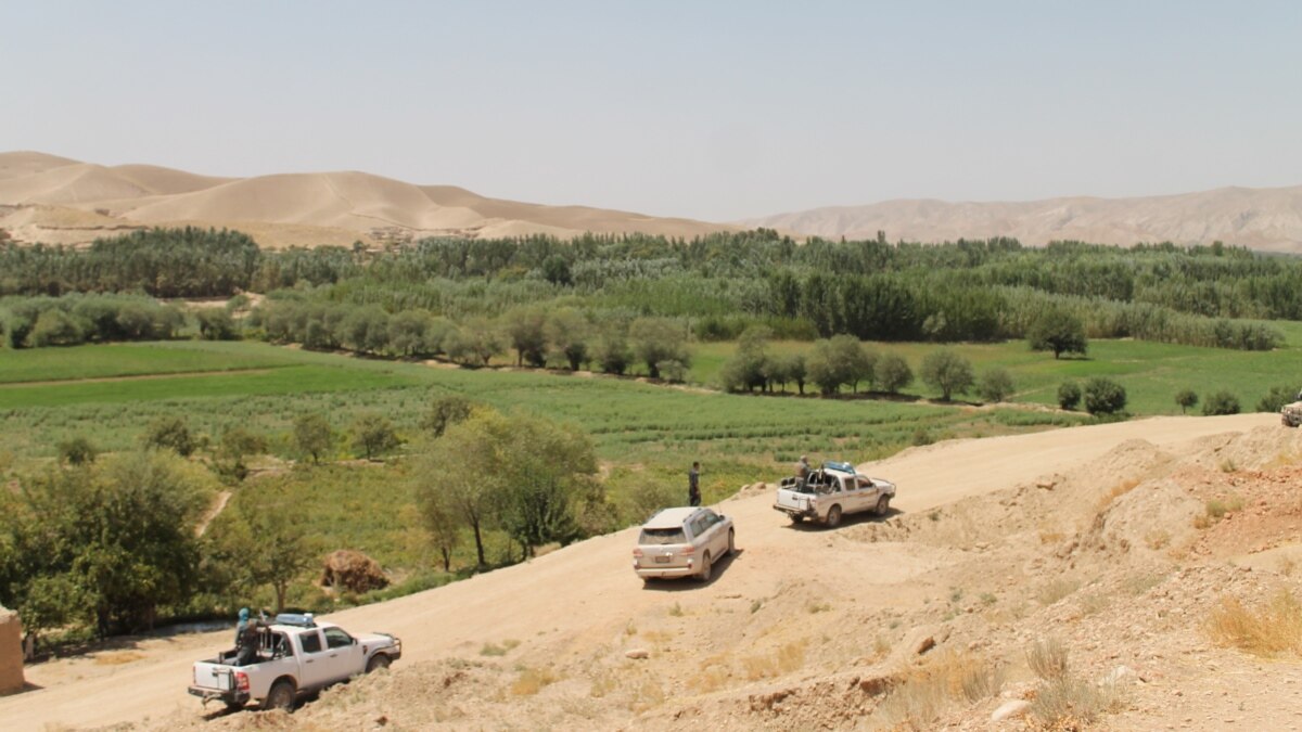 Local Afghan Officials Say Taliban, IS Teamed Up In Deadly Village Attack