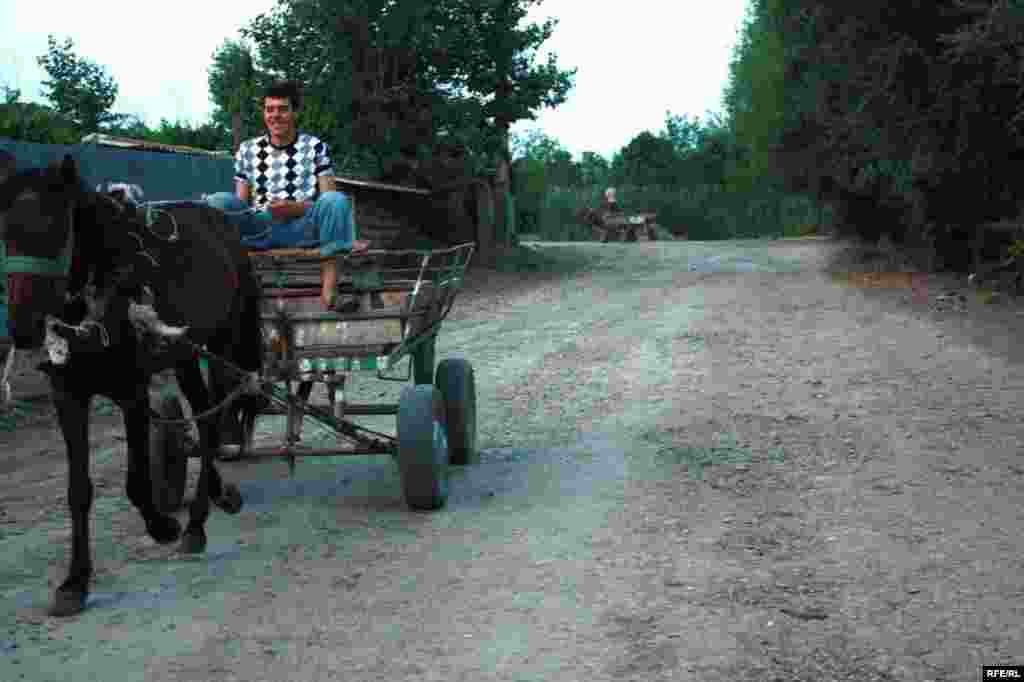 Sürgündə yaşayanlar #12