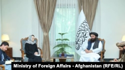 امیرخان متقی و سرپرست یوناما