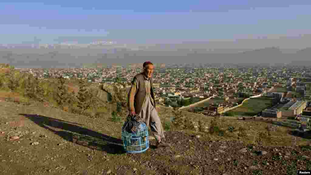 An Afghan man walks with a cage of quails on a hill over Kabul. (Reuters/Mohammad Ismail)