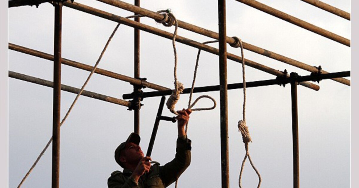 Бет пен мысықтың жақыннан түсірілген фотосы