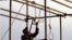 An Iranian soldier prepares a noose ahead of a public hanging. Will watching a video of such a hanging spur opposition to the practice, or just desensitize the viewer?