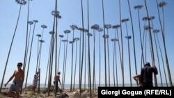 Падрыхтоўка да фэстывалю