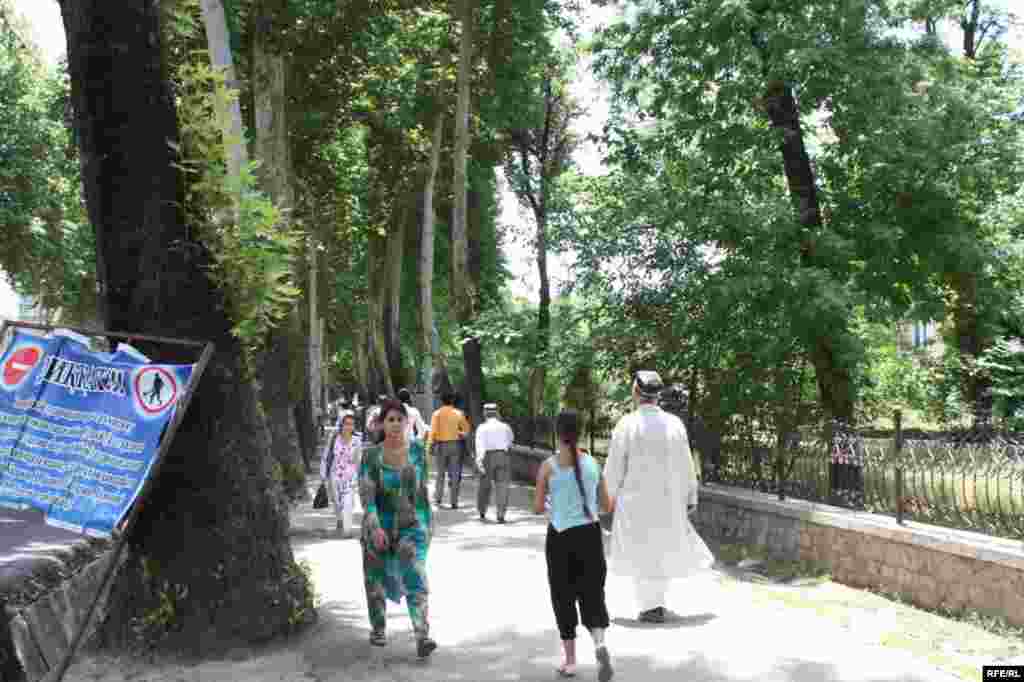 Роҳҳои баста барои тармим #16