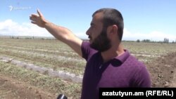 Armenia - A farmer in Armavir province shows his fields hit by a powerful hailstorm, 13Jun2017.