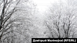 В. Каменка, Ашмянскі р-н, канец мінулага года. - аўтар Дзмітрый Маліноўскі
