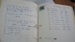 Agenda Elenei Ceaușescu. Ultimele file.