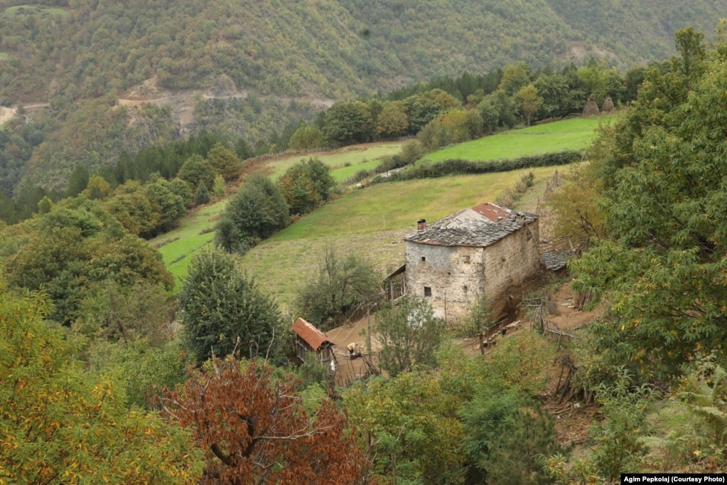 Një pjesë e zonës prej 2800 hektarësh me gështenja.