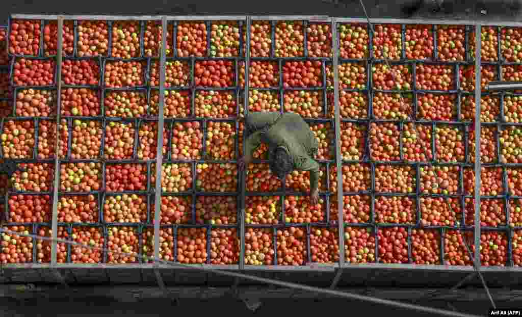 A Pakistani laborer arranges tomatoes in crates at a market in Lahore. (AFP/Arif Ali)