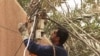 Untangling electrical cables in Iraq. (file photo)