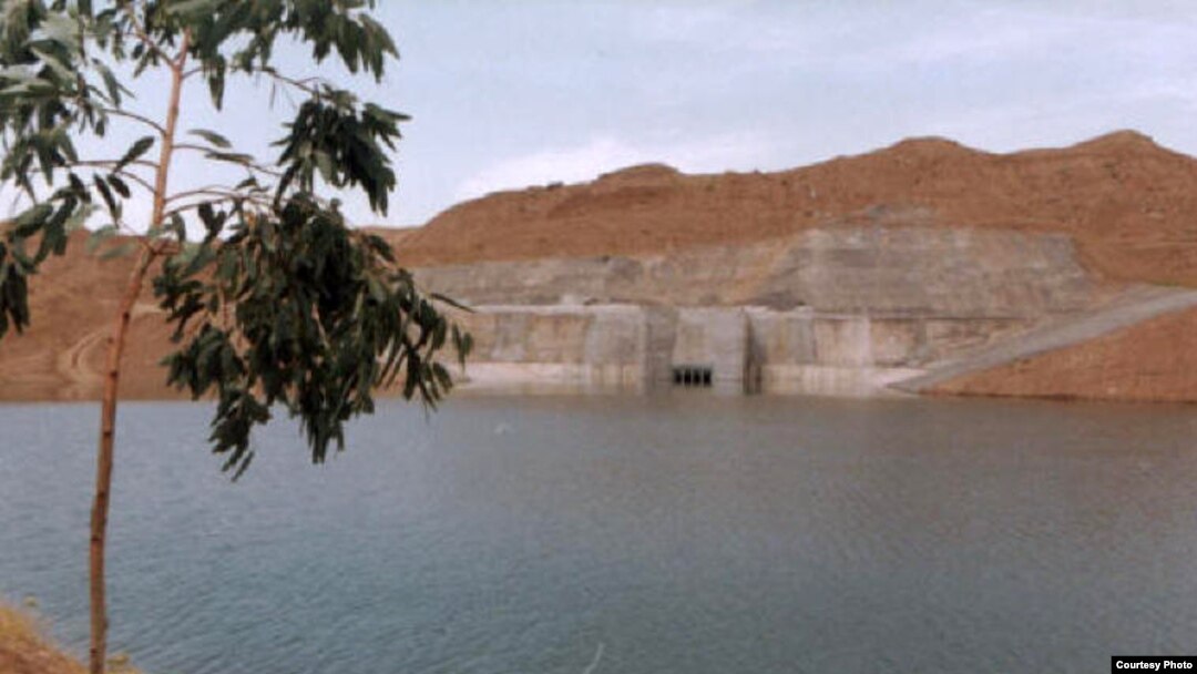 عکس تزئینی است