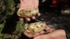 Ukraine, Crimea - Crimean oysters, 14Nov2014