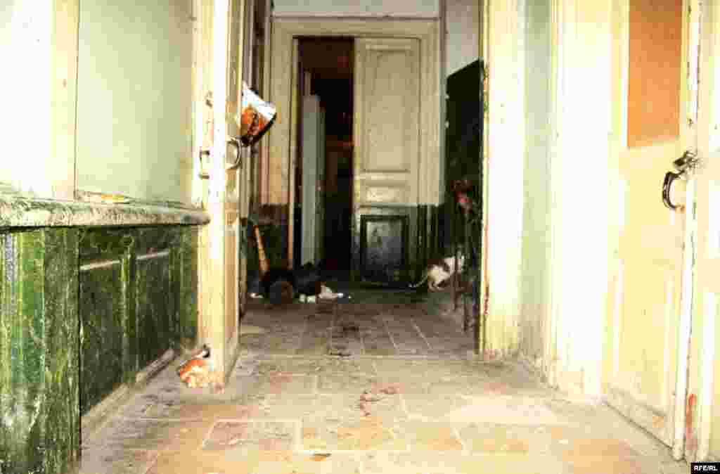 Travmalı Travmatologiya #10