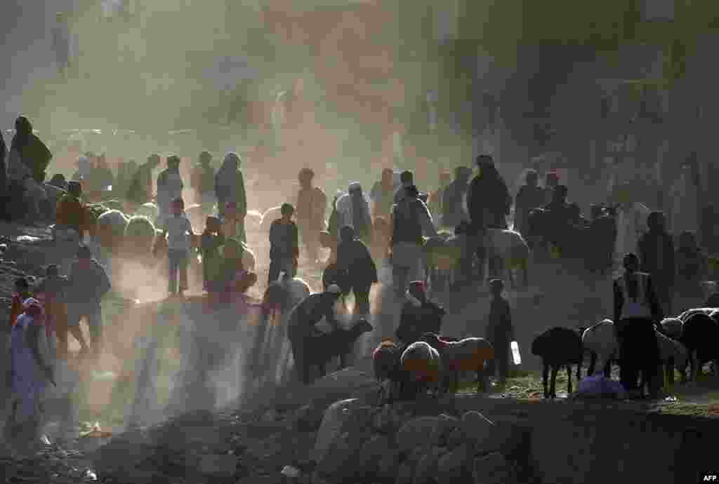 Афганские клиенты и торговцы собираются на рынке домашнего скота на окраине Кабула