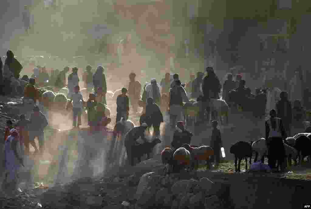 Afghan customers and vendors gather at a cattle market for the upcoming Eid al-Adha festival on the outskirts of Kabul. (AFP/Wakil Kohsar)