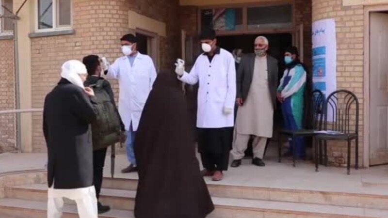 وزارت صحت عامه: موارد مثبت ویروس کرونا در هرات افزایش یافته است

