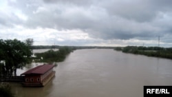 Azerbaijan -- Flood of Kura River in Salyan district, 05May2010