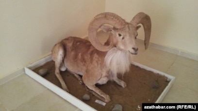 Казакша секс жасырын камера Смотреть жетілген әйелдер порно онлайн