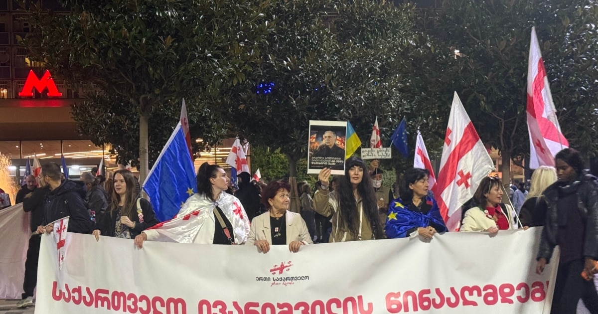 “საქართველო ივანიშვილის წინააღმდეგ!” - თბილისში 43-ე “შაბათის მარში” გაიმართა