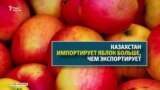 Казахстан – родина яблок, без своих яблок