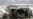 Vilnius Conference To Discuss Ukraine Military
