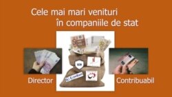 Veniturile șefilor companiilor de stat 1