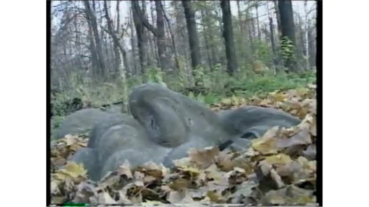 Сталин с нами