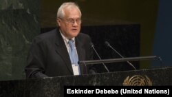Посол Австрії Мартін Сайдік виступає в ООН, Нью-Йорк, січень 2015 року