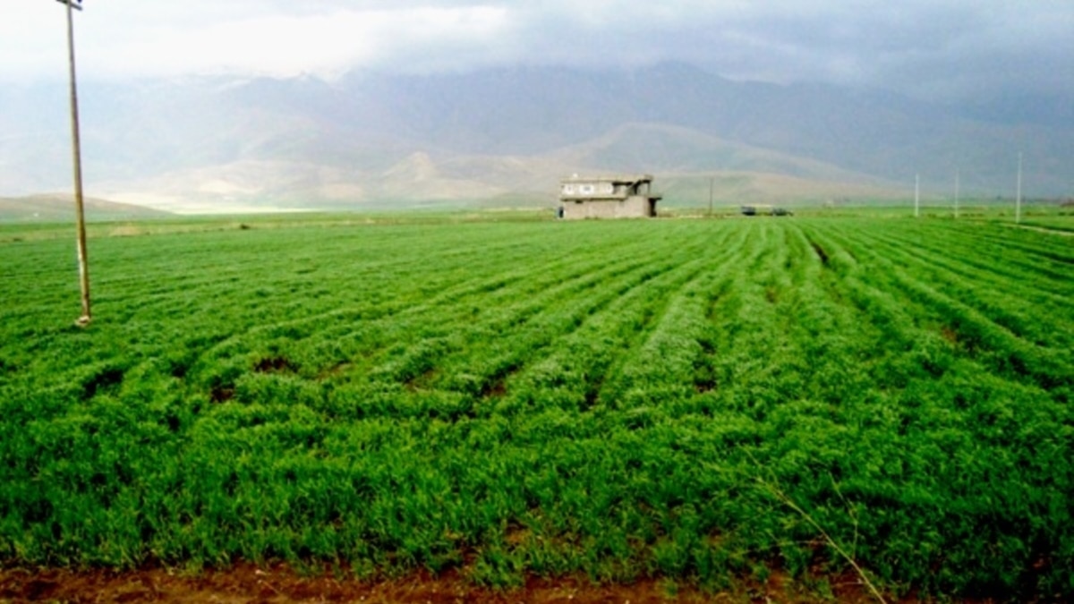 نزاعات حول ملكية الاراضي الزراعية في كردستان