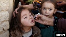 A girl receives polio vaccine drops from a vaccination worker outside her family home in Quetta, Pakistan, in January.