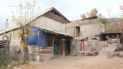 Ծափաթաղում խեղդամահ արված երեխայի եղբայրը ծանր տրավմա ունի, հոգեբույժներն են զննում. ՀՕՖ-ի տնօրեն