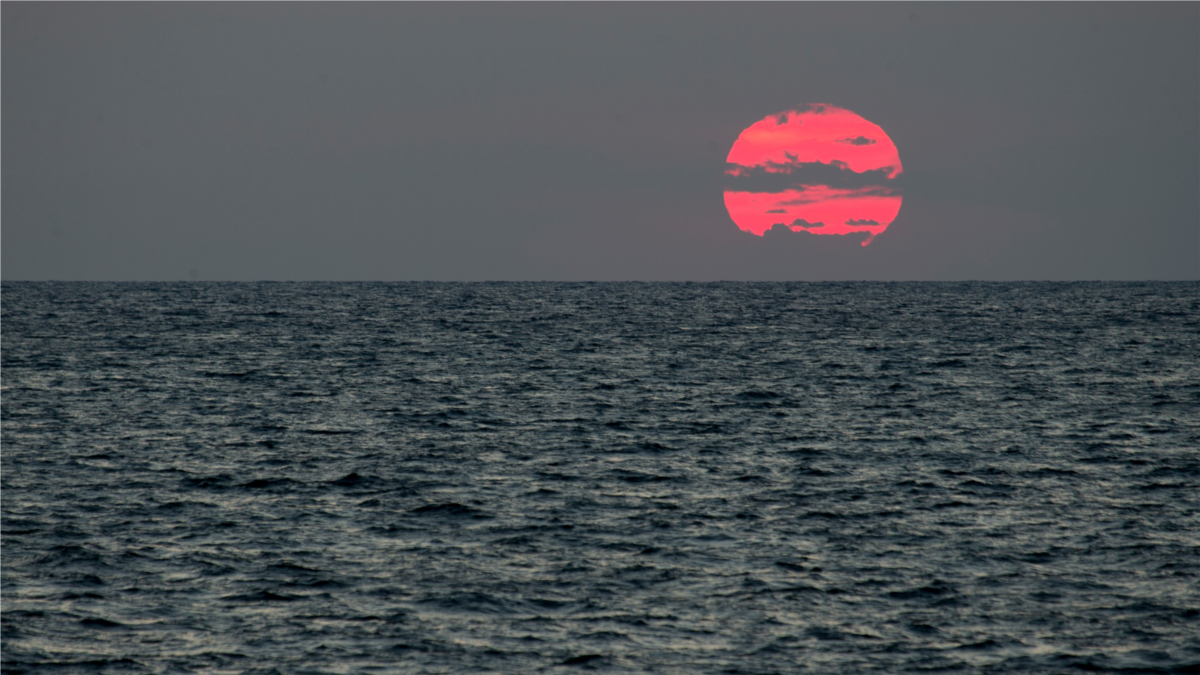 У ВМС спростували підрив на міні в Чорному морі турецького вантажного корабля