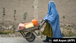 انځور له ارشیف څخه 