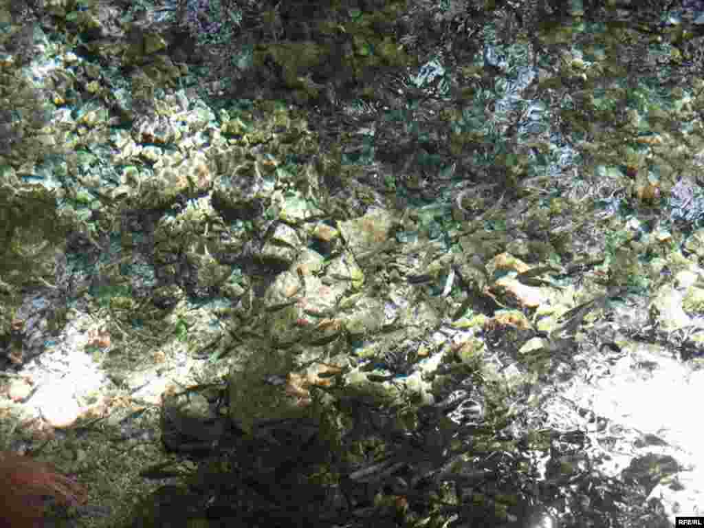 Зиёрати Чилучорчашма #38