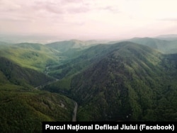 Parcul Naţional Defileul Jiului, declarat astfel în 2005, este singurul parc naţional care găzduieşte un râu mare care curge fără să fie stăvilit, prin Carpaţii româneşti.