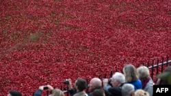 В Лондоне открылась инсталляция в память о погибших в Первой мировой войне британцах – поле из керамических маковых цветков 