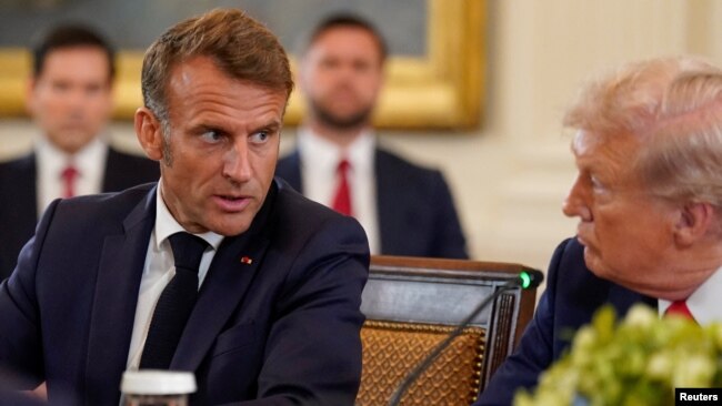 Fransa prezidenti Emmanuel Makron Ağ evdə Donald Trampla danışır.