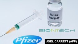 Pfizer/BioNTech sanjymynyň ulanylyp başlanmagyna 17 hünärmen goldaw bildirdi.