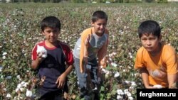 Өзбекстанның мақта алқабындағы балалар еңбегі. 3 қазан 2009