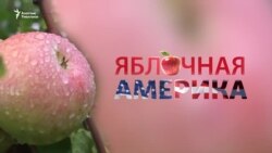 Яблочная Америка